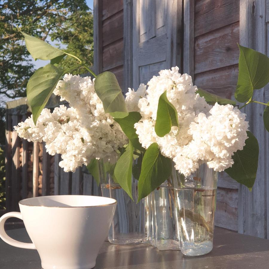 Ronehamn Bed And Breakfast Hemse Buitenkant foto