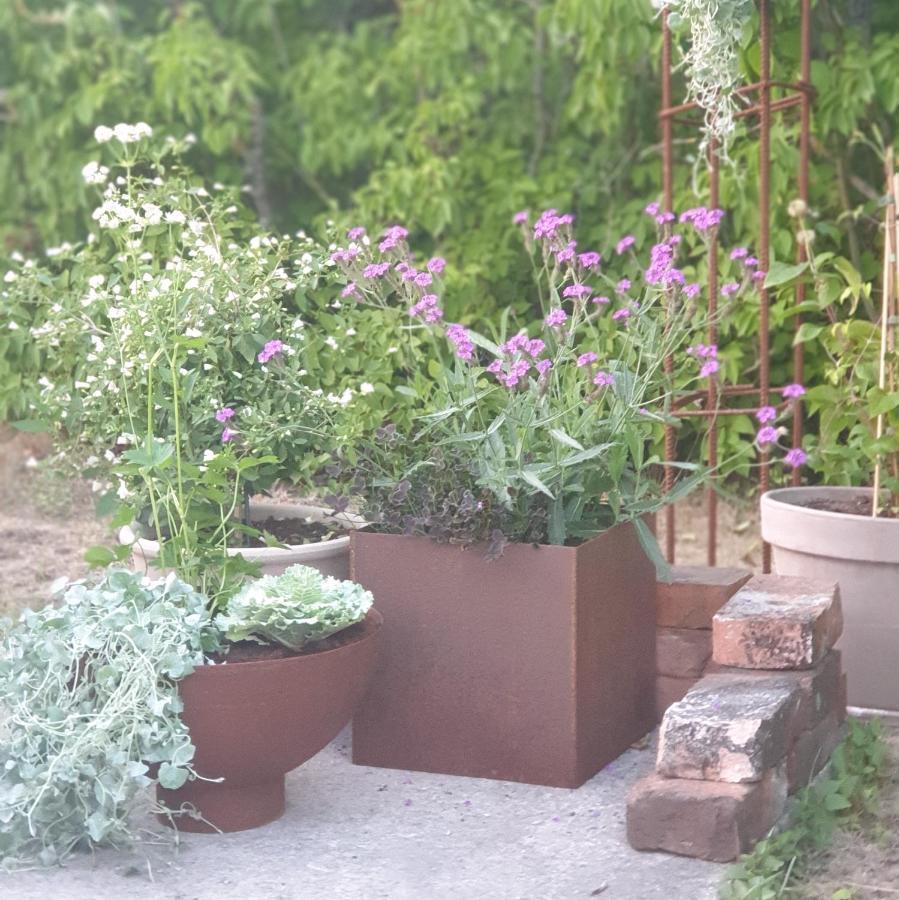 Ronehamn Bed And Breakfast Hemse Buitenkant foto