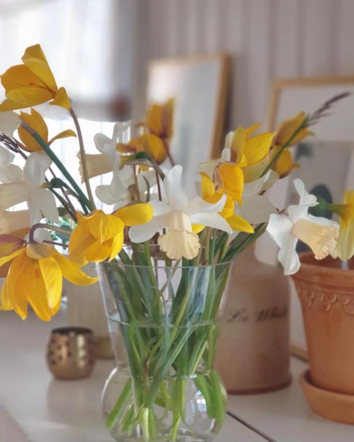 Ronehamn Bed And Breakfast Hemse Buitenkant foto