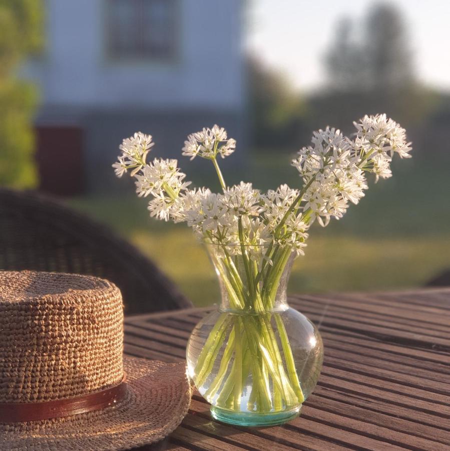 Ronehamn Bed And Breakfast Hemse Buitenkant foto