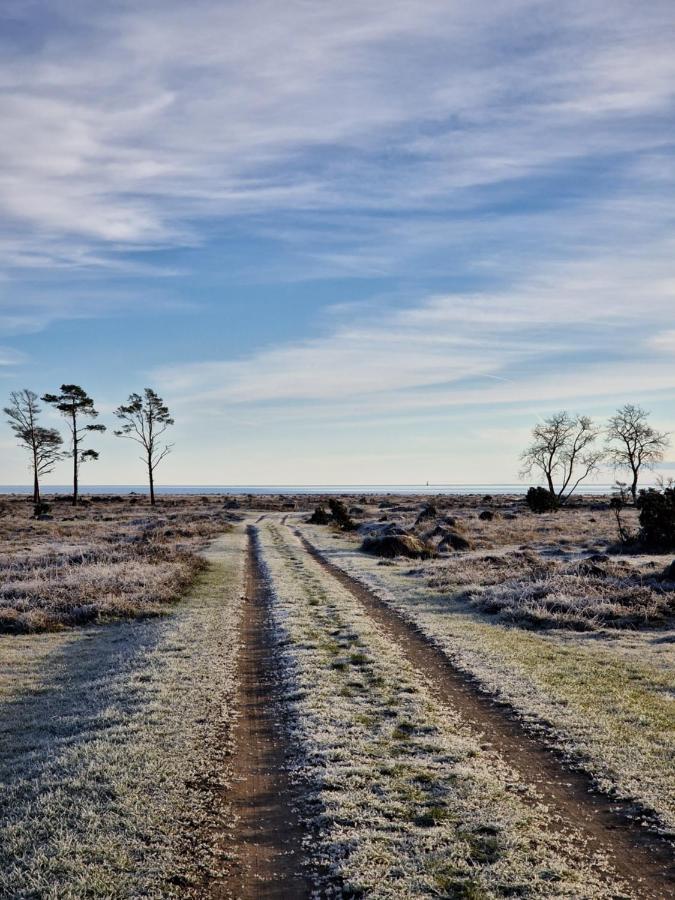 Ronehamn Bed And Breakfast Hemse Buitenkant foto