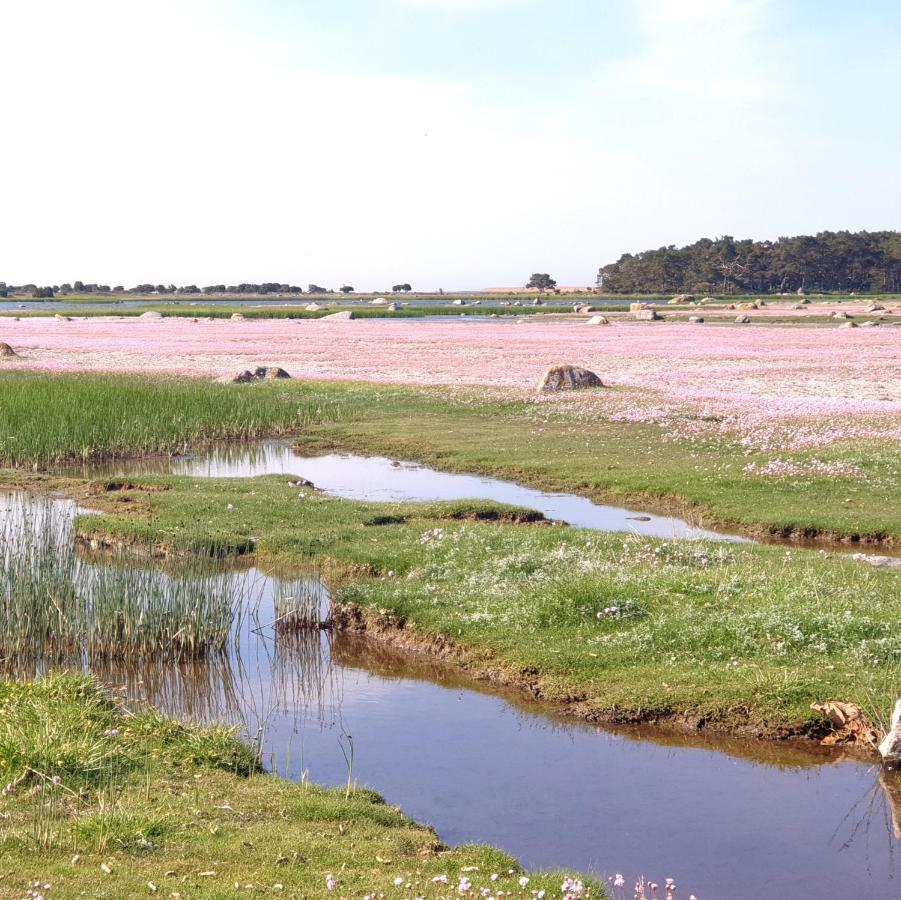 Ronehamn Bed And Breakfast Hemse Buitenkant foto